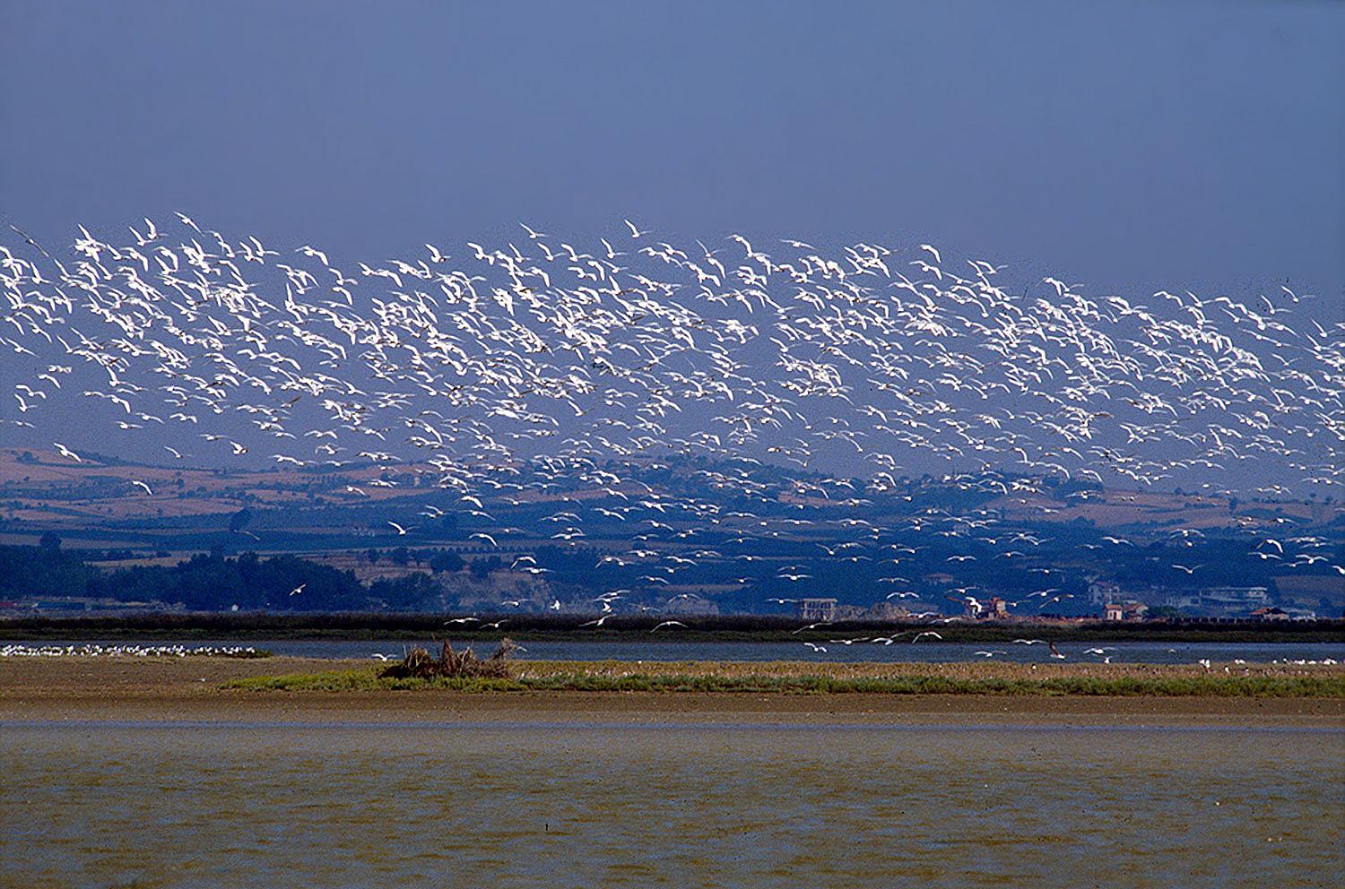 Греция. Фракия