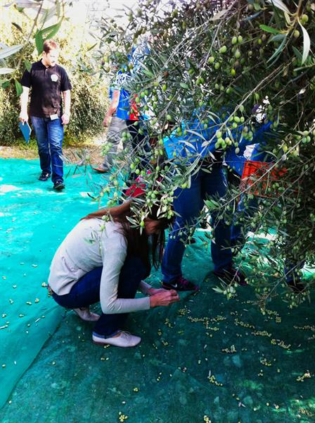 Развитие альтернативных видов туризма в Греции