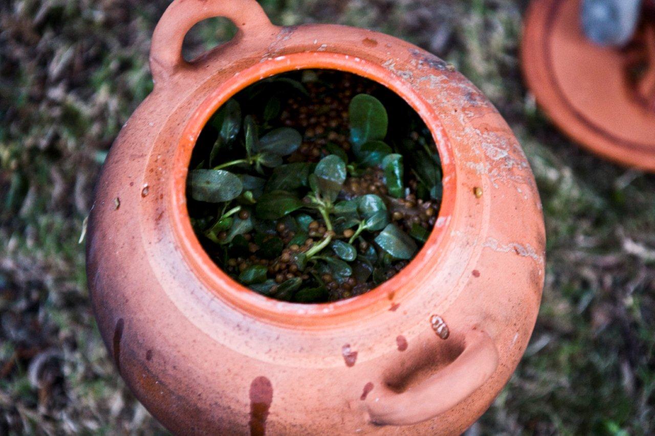 Греция. Крит. Blue Palace, Luxury Collection Resort & Spa