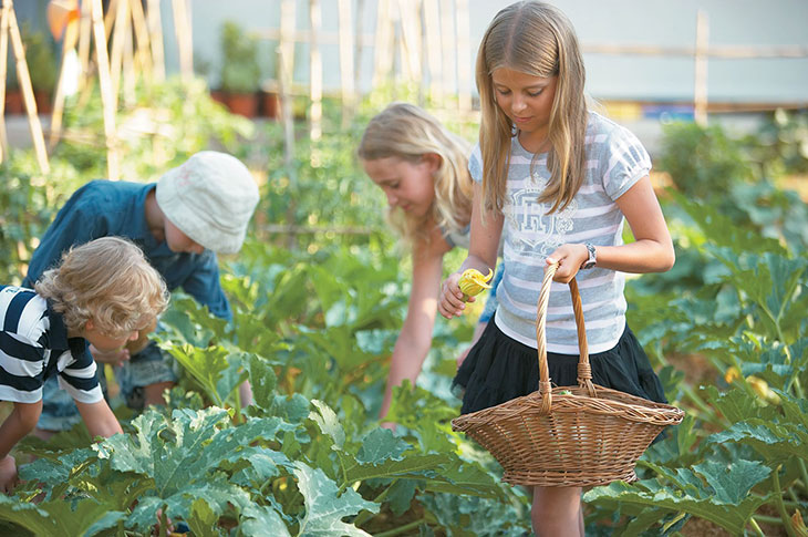 Грекотель. Все для юных гостей