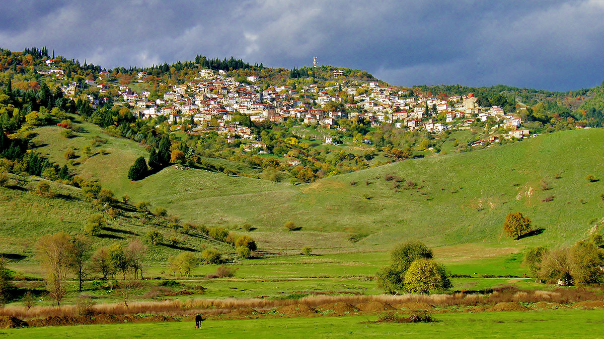 Кардица